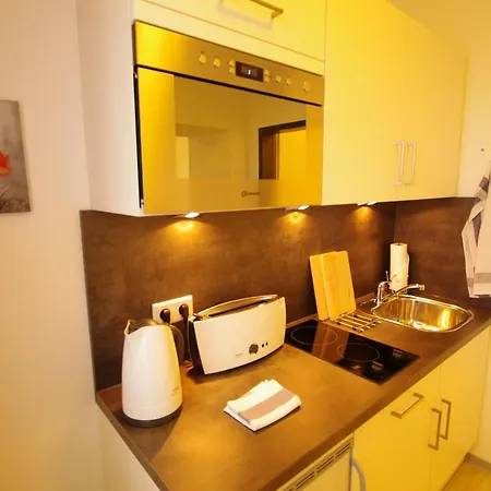Boardinghouse 公寓式酒店 新特劳布灵